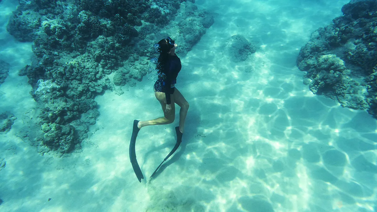 Buceo en apnea en San Blas: vive la mejor experiencia submarina