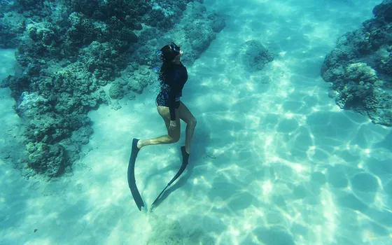 Freediving in San Blas: Unlock the Ultimate Underwater Experience