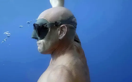 What Is the Mammalian Diving Reflex? Your Body's Hidden Superpower at Sea