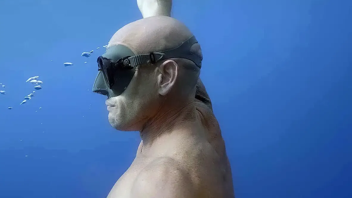 What Is the Mammalian Diving Reflex? Your Body's Hidden Superpower at Sea