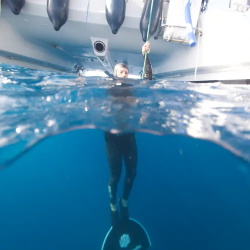 Freediving 8