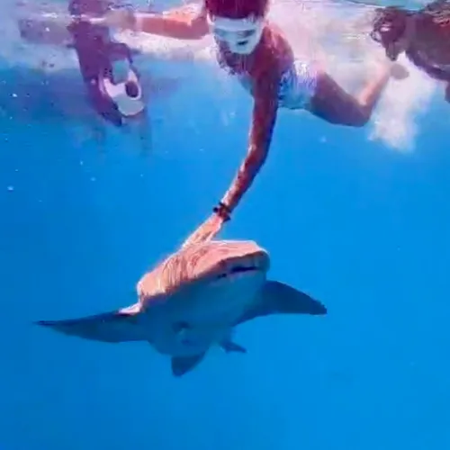 Nuoto e snorkeling 2