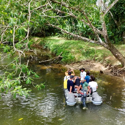 Jungle Expedition 3