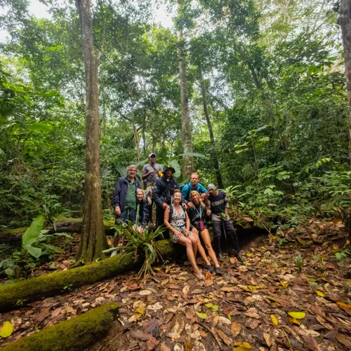 Jungle Expedition 6