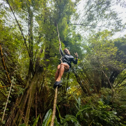 Jungle Expedition 5