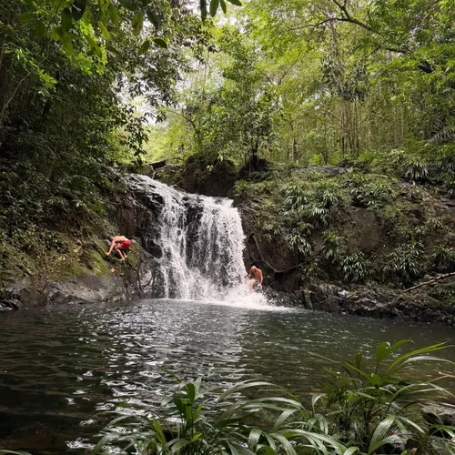 Jungle Expedition 10