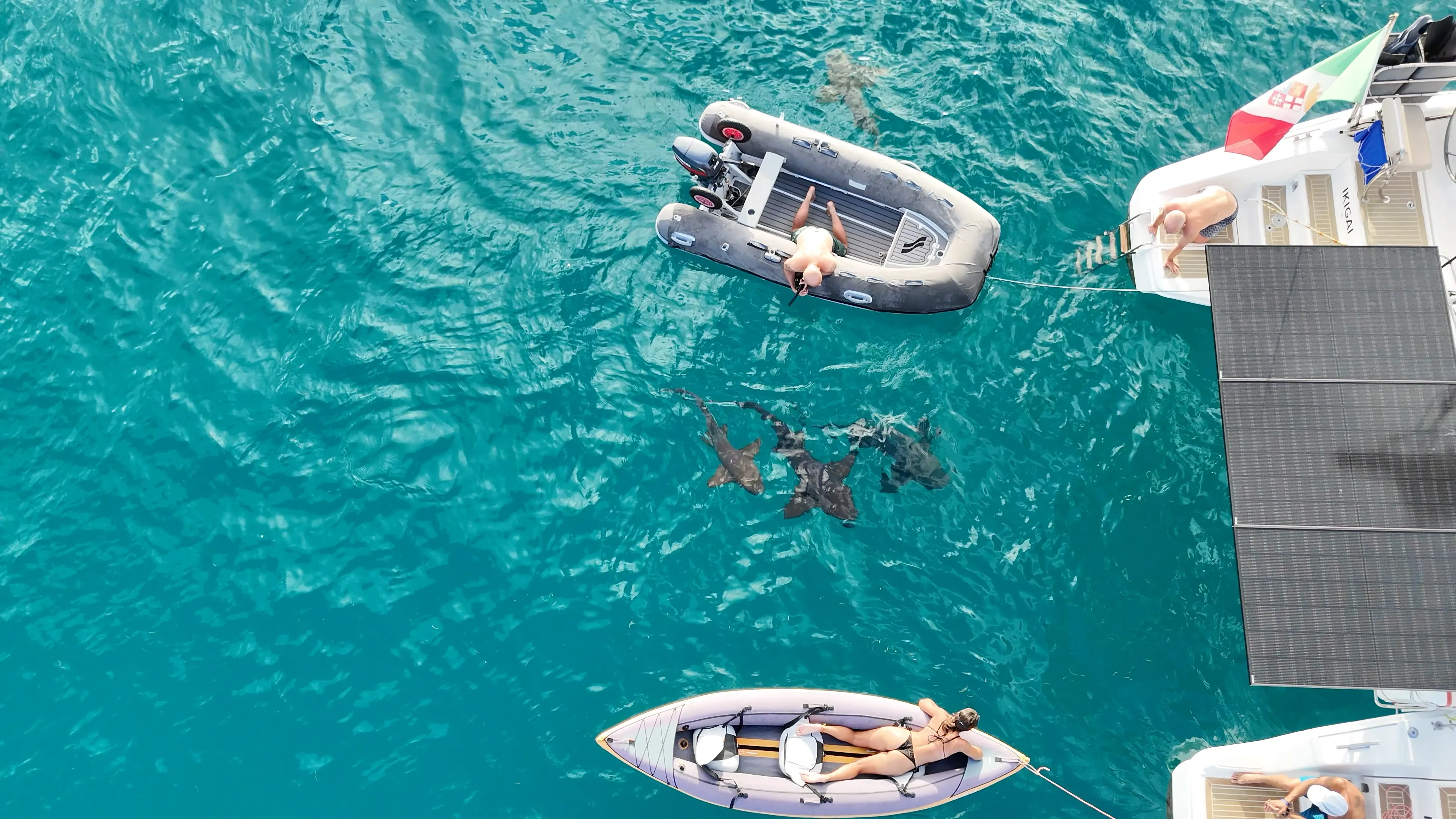 Aerial view of the catamaran Ikigai at anchor in turquoise water, nurse sharks and a kayak alongside