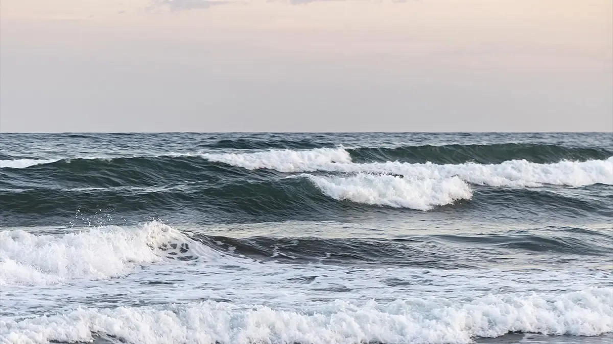 Les vagues de la mer : types