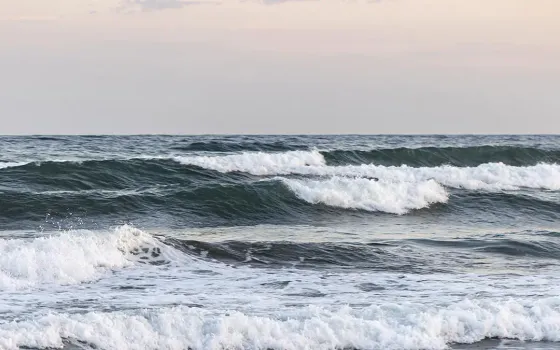 The Waves of the Sea: Types