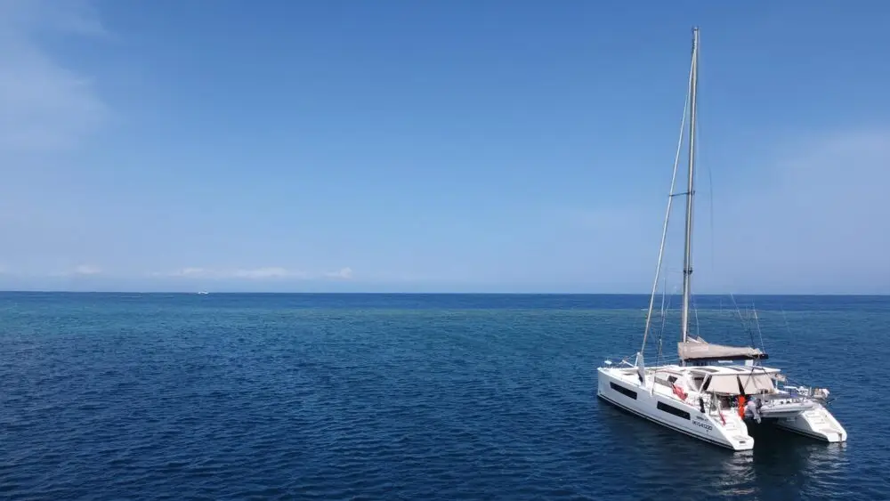 Pacific Crossing - Image 2