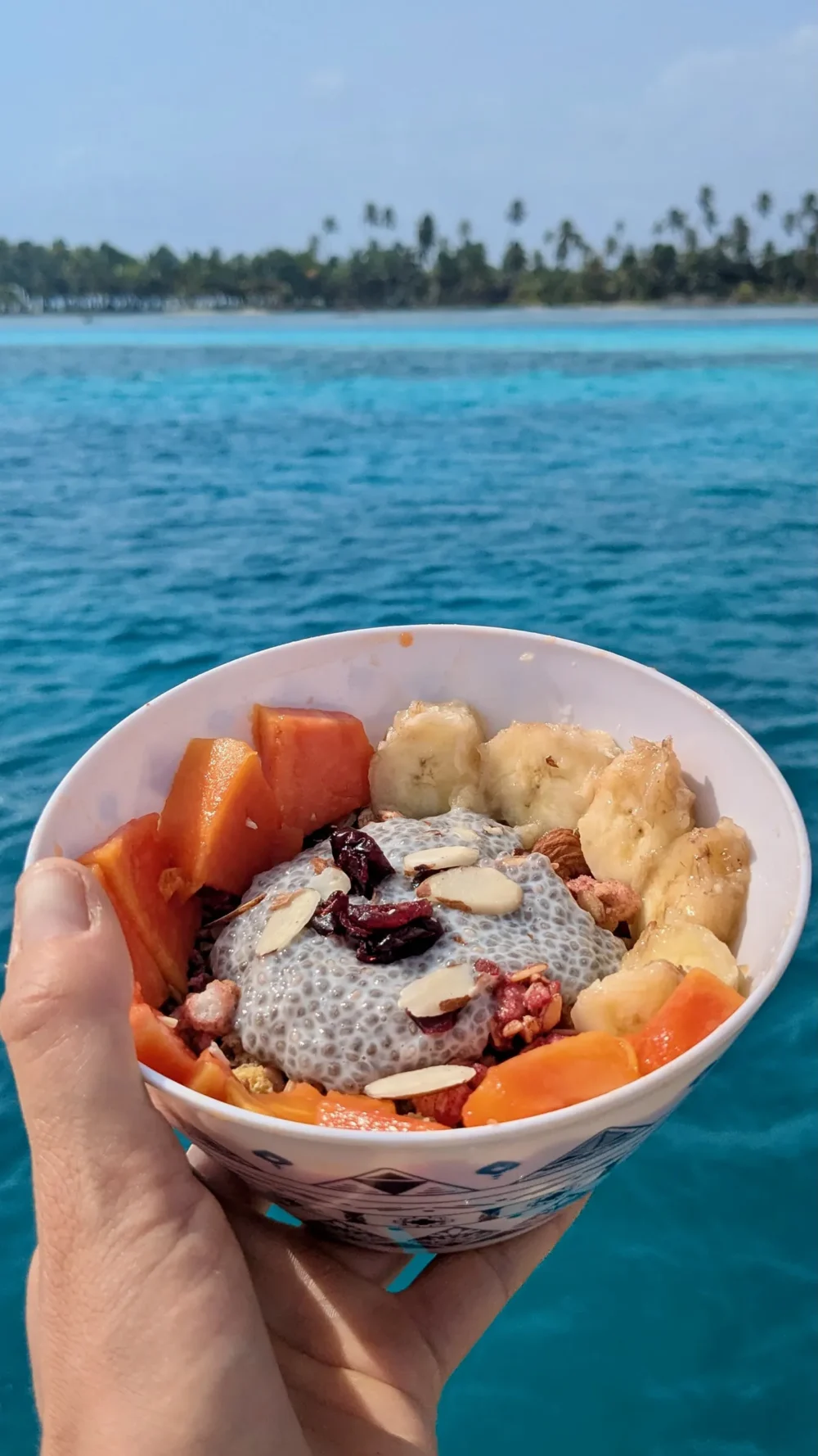 Fresh Food Catamaran